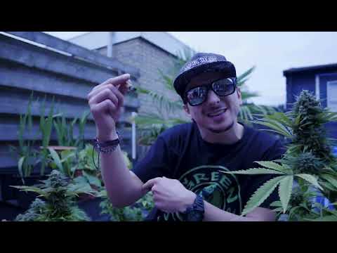 BieGaN SCP - Hał Haj (cuty/scratch: Dj Shadowface)