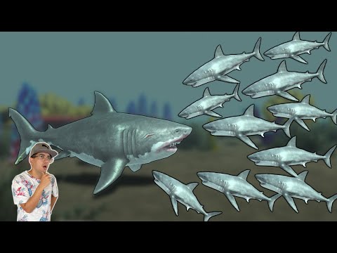 MEGA BATALHA AQUÁTICA: 1 MEGALODON MUTANTE vs 10 TUBARÕES NORMAIS! - Animal Revolt Battle Simulator