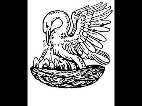 8th Sunday after Pentecost: Introit - Suscepimus, Deus (Tutorial)