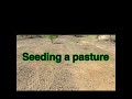 How To Seed A Cow Pasture