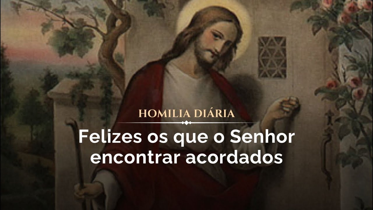 Homilia Diária | Seja a luz de Cristo para o mundo. 22/10/24 (Pe. Gabriel Vila Verde)