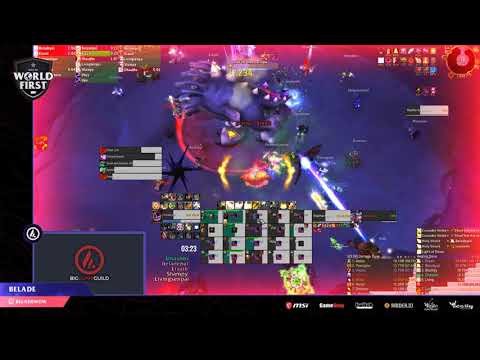 Big Dumb Guild vs Mythic Shad'har WORLD THIRD Holy Pally POV