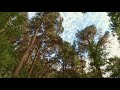 Lauren Daigle Hold On To Me Feat AHI Slowed Reverb
