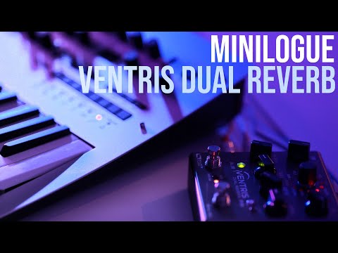 Ventris Dual Reverb & Korg Minilogue Demo - First Try