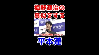 どうも、平本蓮です #shorts