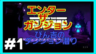 [Enter the Gungeon] #1 ゆるりとハードなダンジョンに潜る