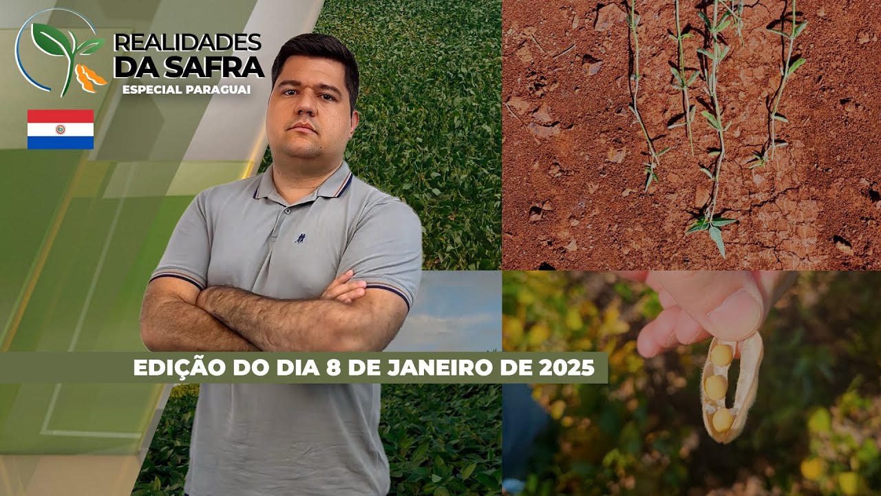 Paraguai enfrenta dificuldades climáticas e safra de soja já tem perdas consolidadas