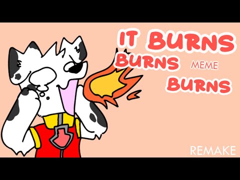 IT BURNS BURNS BURNS MEME [REMAKE] // PAW PATROL
