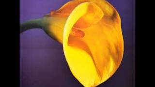 Swans - Let It Come Down