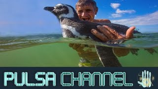 TOP 10 Increíbles Vínculos Humano-Animal