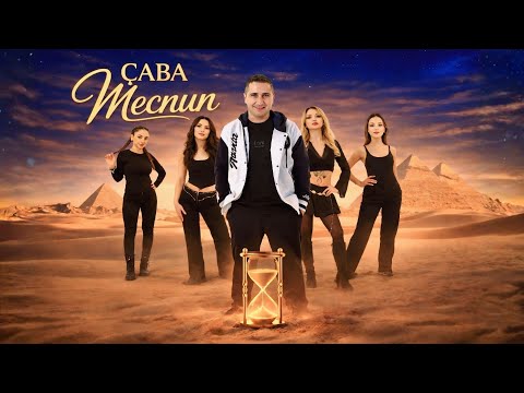 ÇABA and Dijital Meydan