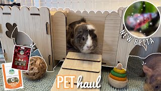 PET HAUL || Guinea Pigs & Betta Fish