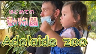 Vlog Adelaide Zoo 動物園