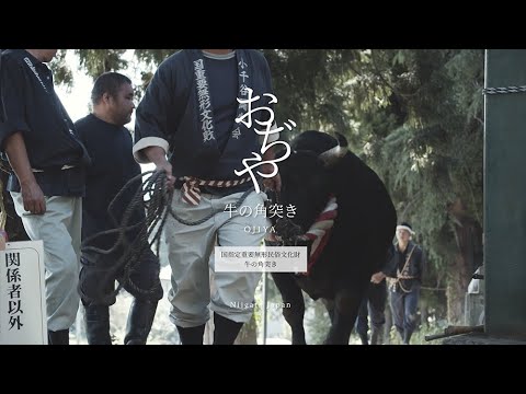 國家指定重要無形民俗文化財產 鬥牛