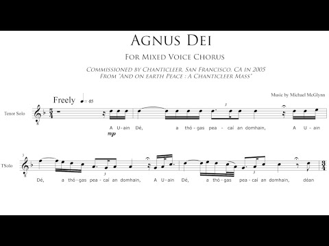 ANÚNA : Agnus Dei (Michael McGlynn)