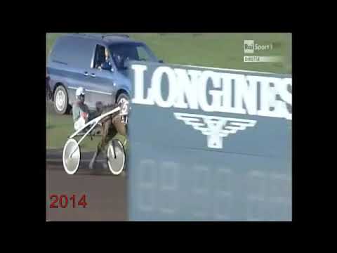 DERBY DEL TROTTO 2014 SUGAR REY