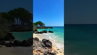 Download lagu VIDEO CINEMATIC ALAM #shorts #cinematic #mentahan #montain #alam #forest #kumpulan #cara #nature mp3