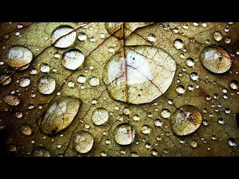 Afro Deep House Mix 2025 / Mixed by Cole / Session 63