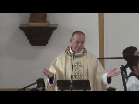 Homily for the Dedication of the Lateran Basilica 2025 Part 1 of 2