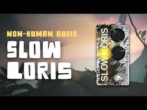 Slow Loris Delay - Non-Human Audio - Dynamically Modulated Slapback Delay Pedal image 5