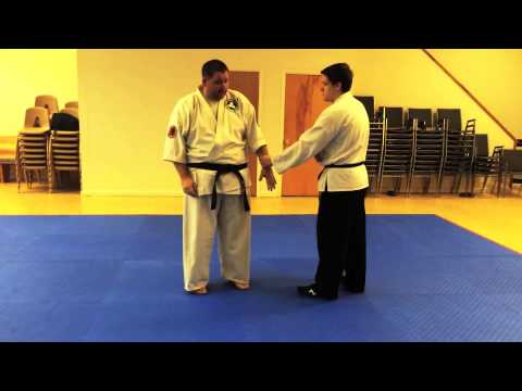 Bunkai Pinan / Heian Sandan and Godan