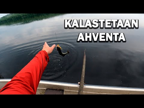 KALASTETAAN AHVENTA.
