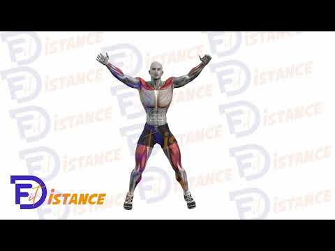 Jumping jacks - Exercice Jumping jacks en vidéo Jumping jacks - Exercice Jumping jacks en vidéo