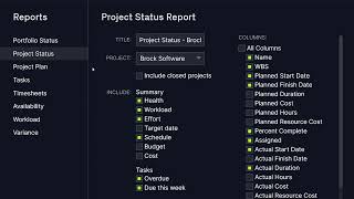 Cómo crear informes en ProjectManager