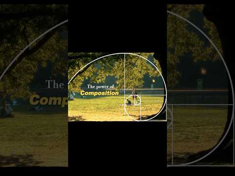 The Power of Composition