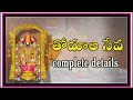 Tirumala Latest Darshan Information Thomala Seva Complete Details Arjitha Seva Anu TTD Darshan