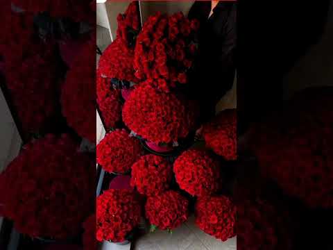 video #view #youtubeshorts #flowers