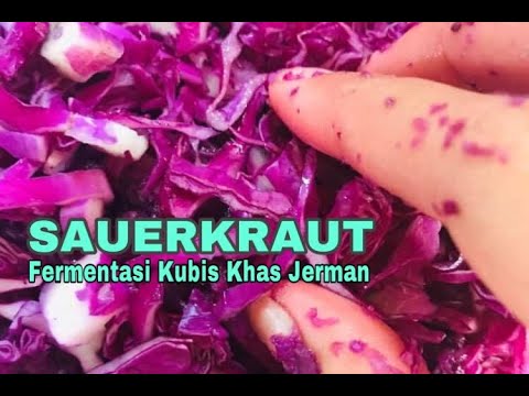 HOW TO MAKE CLASSIC SAUERKRAUT || ASINAN JERMAN ENAK SIMPLE ANTI GAGAL