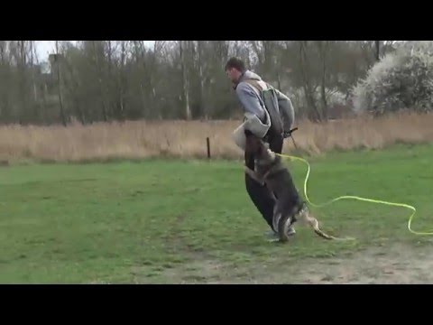 Nikita Vikar 04/2016 defence. Pozorant: Michał Wiśniewski