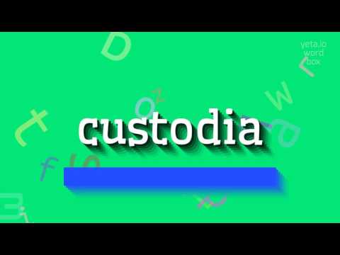 How to say "custodia"! (High Quality Voices)