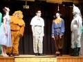 Discovering The Wiz