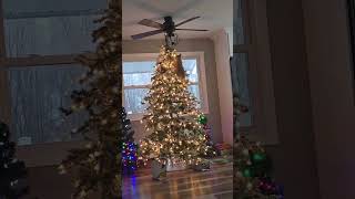 Download lagu Cats vs Christmas Tree 🎄😹#christmas #cat #shorts mp3 Download lagu Cats vs Christmas Tree 🎄😹#christmas #cat #shorts mp3