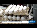 Texas-based egg producer recalls 1.5 million dozen eggs over salmonella risk