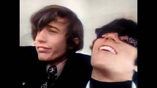 The Bee Gees - Spicks And Specks (1966)
