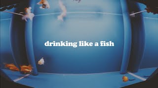 preview picture of video 'Holiday - Drinking Like a Fish'