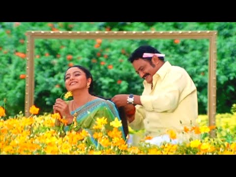 Samayaniki Tagu Sevalu Video Song - Harikrishna, Soundarya Superhit Video Song | Seethaiah Songs HD