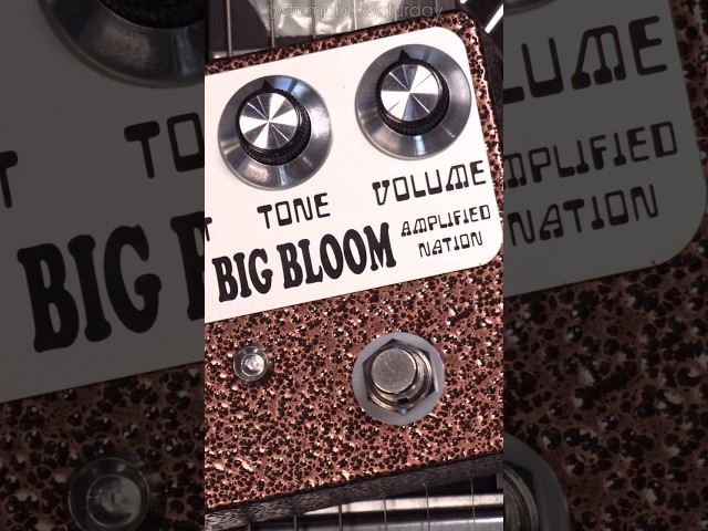 Vídeo relacionado con SHAEVLE Pedal de retardo estilo Dumble: retardo de 500 ms, bypass real, circuito totalmente analógico, diseño compacto SPACE MODEL(Delay)