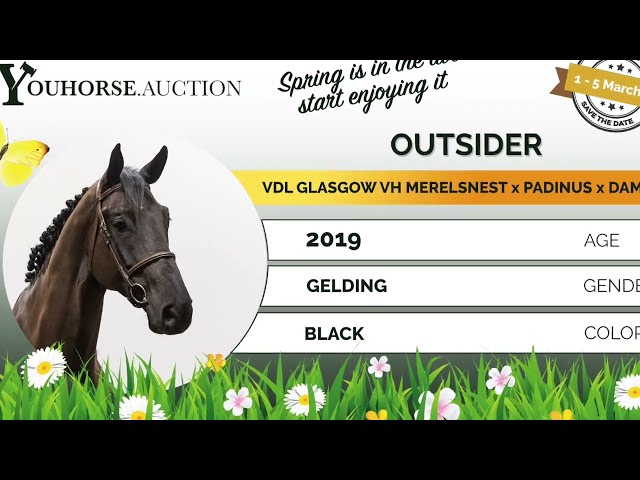 Outsider showvideo