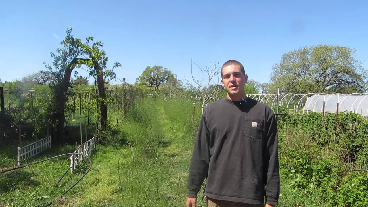 The Giving Gardens Project Spring Organic CSA Farm Tour