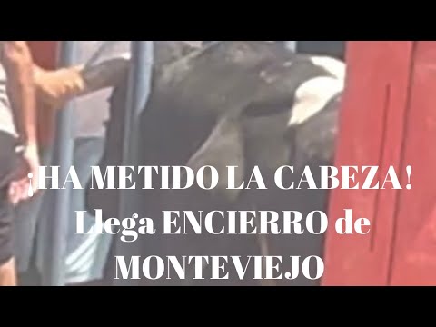 😱¡HA METIDO LA CABEZA! Llega ENCIERRO de MONTEVIEJO para CORRIDA INTERNACIONAL DE REJONES MORALEJA
