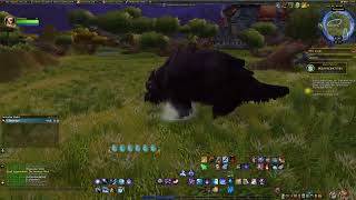 Ich muss sie haben! (WOW Quest) / I have to have them!