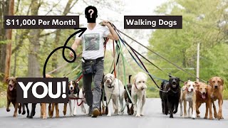 How to Start a Dog Walking Company with 0 Experience