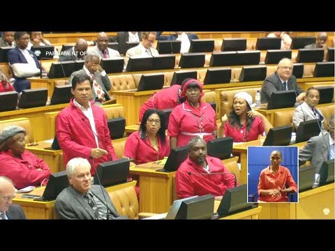 "Julius Malema Is A Mickey Mouse CIC"  - Groenewald FF Plus