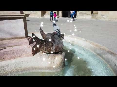 TANA POR EL MUNDO ALMANSA