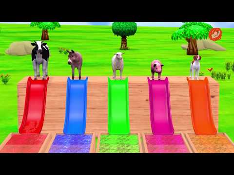 पूल पर जानवरों की दौड़ | Animals swimming Race On Swimming Pool | जानवरों को पूल में स्लाइड