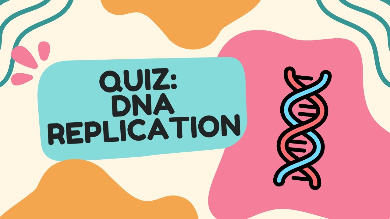 Quiz: DNA Replication Diagrams